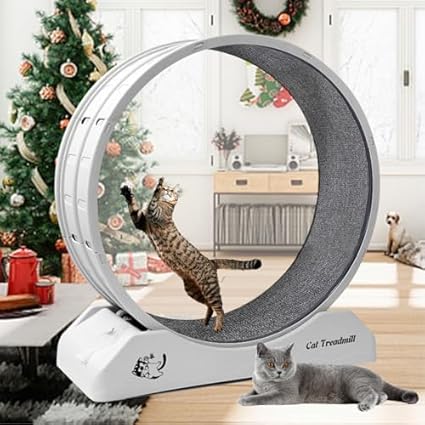 roue pour chat en plastique